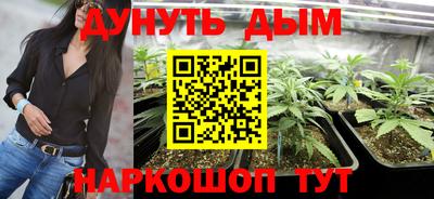 спайс Малгобек